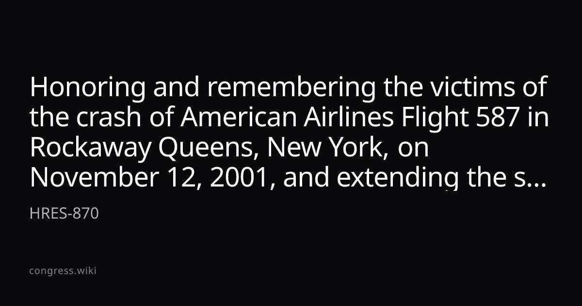 Honoring and remembering the victims of the crash of American Airlines ...